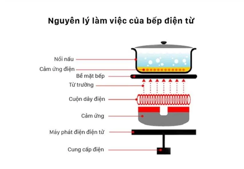 Bếp từ là gì? Nguyên lý hoạt động của bếp từ giải thích dễ hiểu 2 Bếp từ là gì? Nguyên lý hoạt động của bếp từ giải thích dễ hiểu