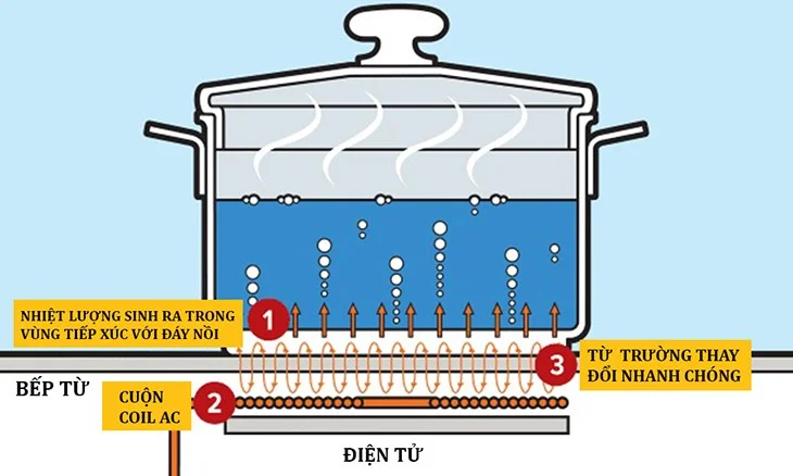 Bếp từ có tốn điện không? Mức tiêu thụ điện thực tế